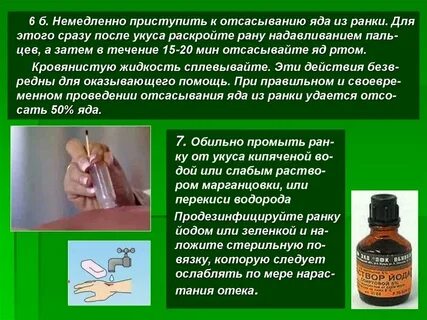 Обработка ран после укуса