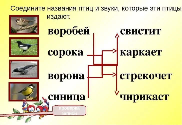 Какие звуки издает сорока. Птицы и их звуки. Звуки которые издают птицы. Говорящие птицы названия. Звуки птиц текст