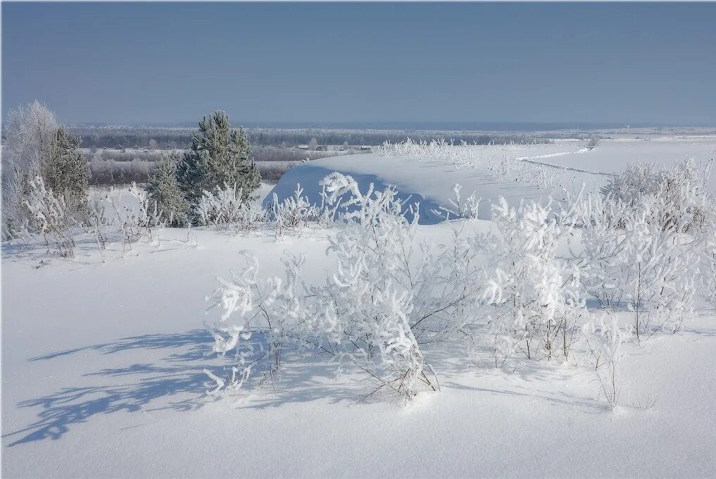 В пелене января. И под утро снегом поле забелело. Зимние поля просторы. Поле забелело. Снежно-белая пелена.