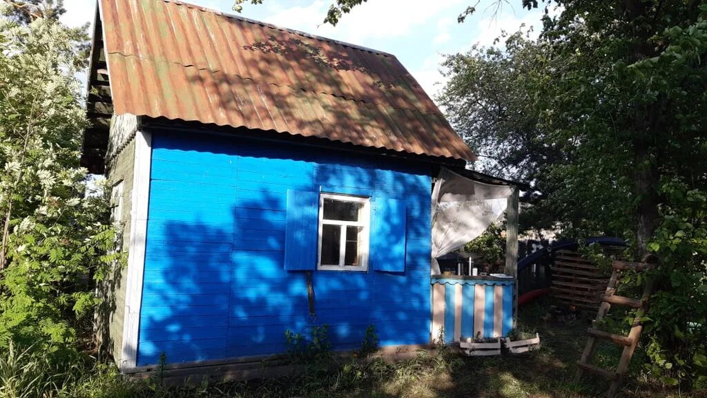 ягодное новосибирская область. снт стандарт. чика дача. чика дача. чика дача.