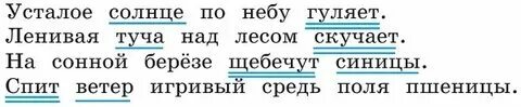 Основа предложения усталое солнце по небу гуляет. На сонной березе щебечут синицы. Разбор предложения усталое солнце по небу гуляет. Разбор предложения усталое солнце по небу гуляет. Выполни синтаксический разбор предложения.