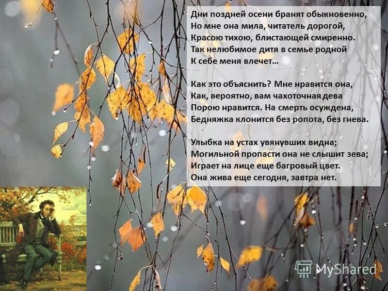 Стихи про позднюю осень. Осень дни поздней осени бранят обыкновенно. Жизнь похожа на позднюю осень стих. Стихи про осень Пушкина для детей. Народное название песни осенние дожди