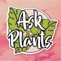 Ask plants