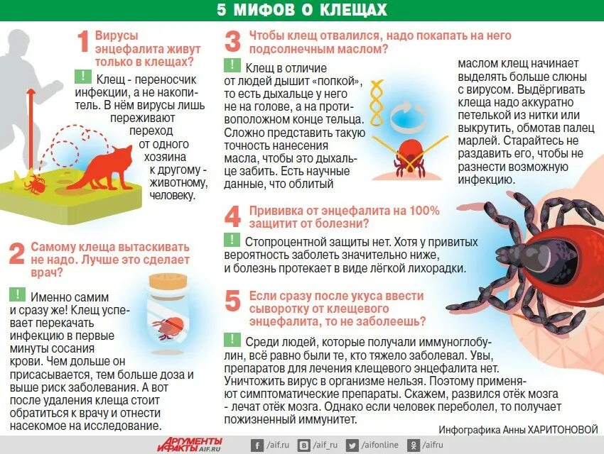 Симптомы энцефалита у человека. Клещевой энцефалит укус клеща. боррелиоз и клещевой энцефалит. укус инцефа клещевой энцефалит симптомы. профилактика энцефалита клещевого энцефалита  после укуса клеща.