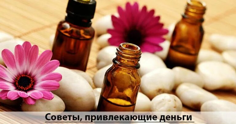 Эфирные масла и деньги. Ароматы для привлечения денег. Пачули для привлечения успехов и денег. Денежные аромамасла. Масло пачули для привлечения.
