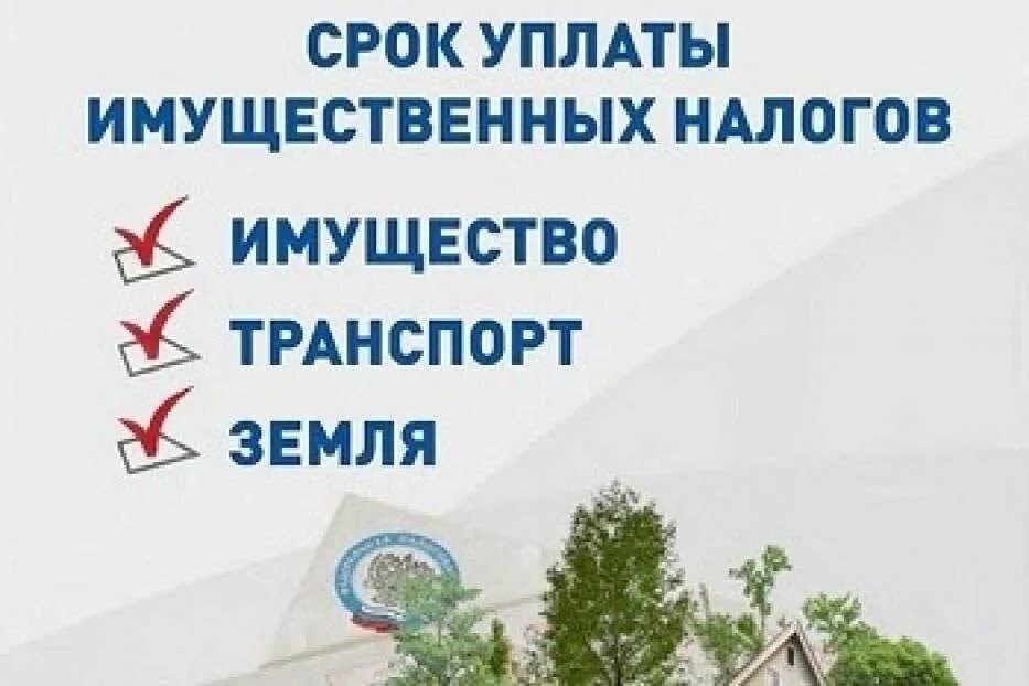 Имущественный налог 2024 срок уплаты. Уплата имущественных налогов. Срок уплаты налогов 1. Уплата имущественных налогов физических лиц. Налог физического лица 1 декабря.