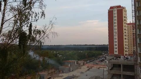 Лосиный остров королев