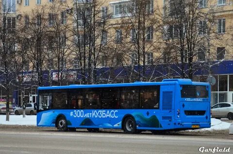 117 автобусы реальном времени