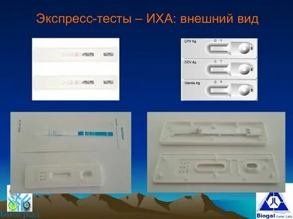 Экспресс тест ифа