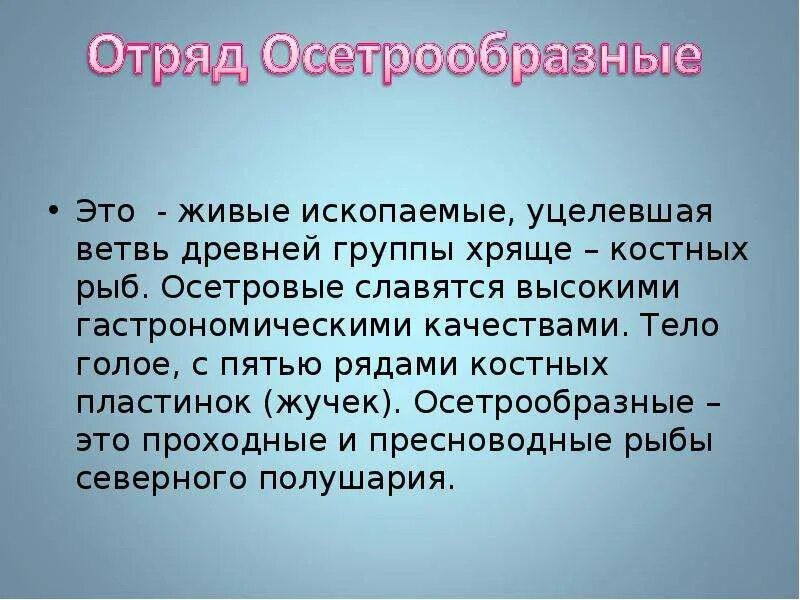 Биология 9 класс тема живые ископаемые. Сообщение на тему живые ископаемые. Презентация живые ископаемые биология. Живые ископаемые биология 9 класс. Живые ископаемые презентация.