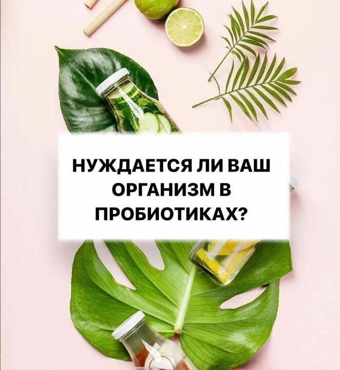 нуждается ли новая. нуждается ли новая. парень должен оплачивать. нуждается ли русский язык в защите. нуждается ли новая.