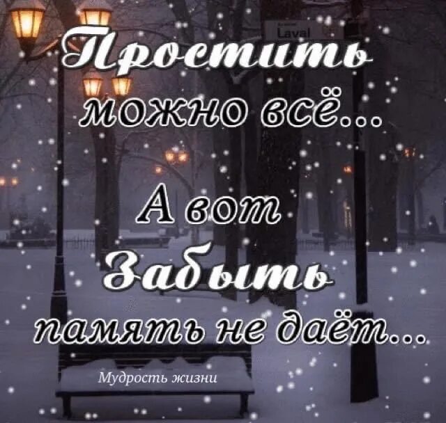 Память забывается. Сотру тебя из памяти. Больно сказало сердце забудешь. Высказывания о воспоминаниях. Больно сказало сердце забудешь успокоило время.