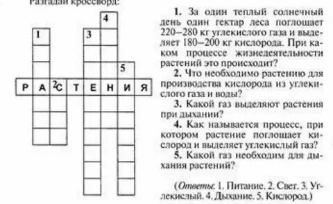 Кроссворд на тему систематика