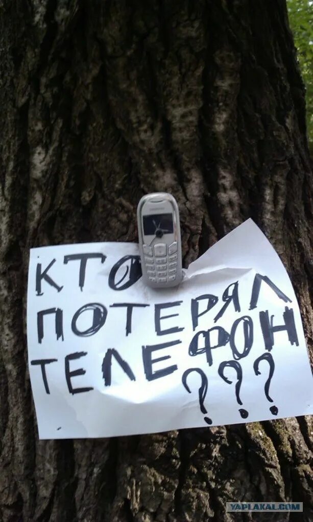 Гвоздь в телефоне. Смешные телефоны. Потерял телефон в москве. Потерял телефон. Телефон прибитый к дереву.