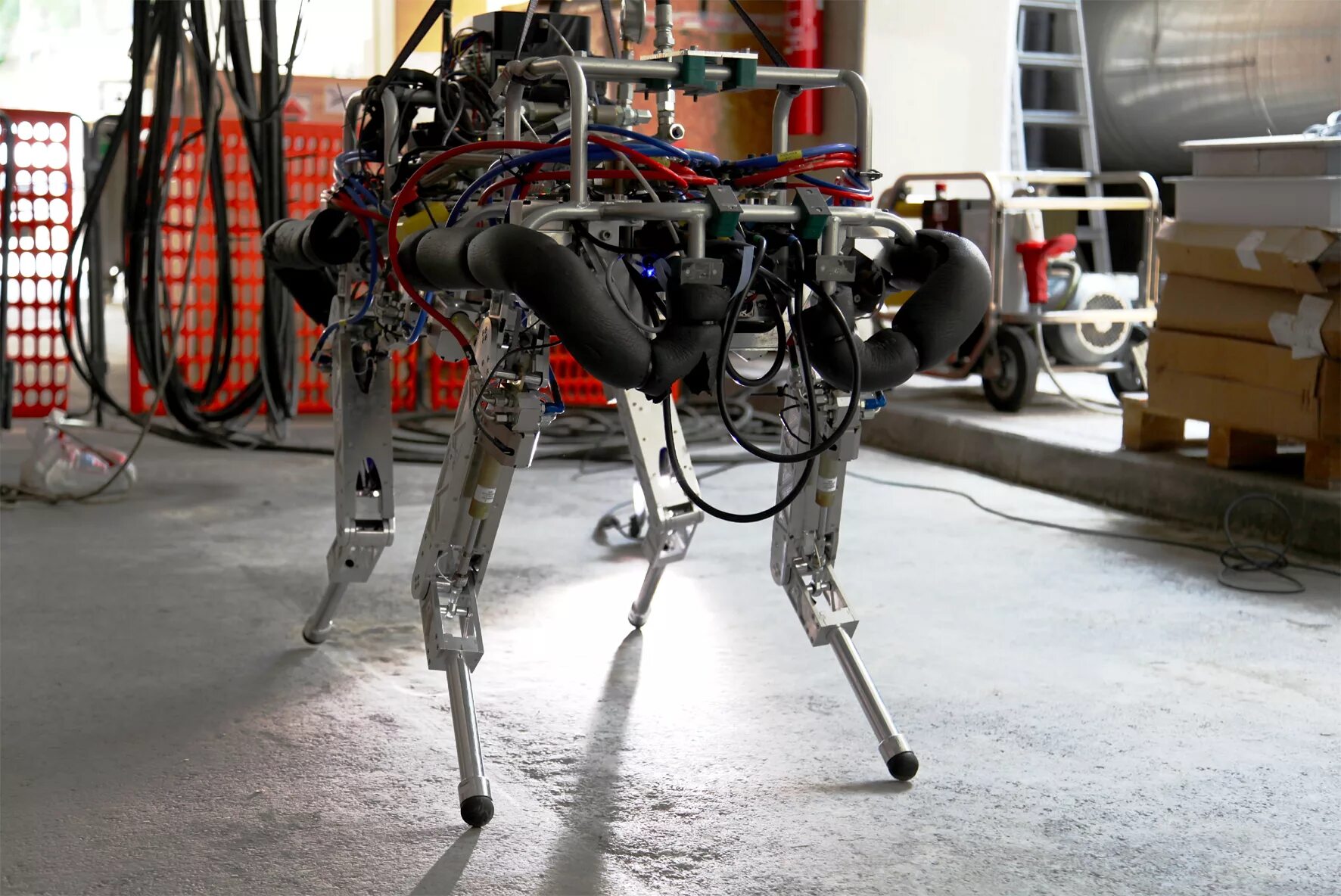 Стационарные роботы примеры. BIGDOG робот. Boston Dynamics из ev3. Boston Dynamics BIGDOG. Шагающие роботы Boston Dynamics.