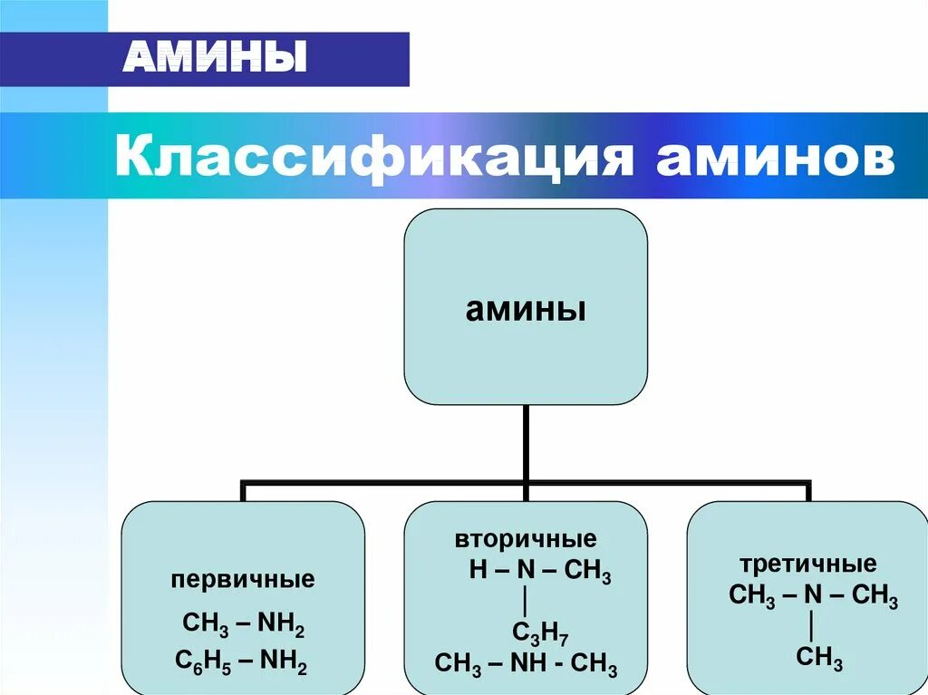 Амины группы б. Классификация Аминов. Первичные вторичные и третичные Амины. Классификация Аминов первичные вторичные третичные. Классификация третичные Амины.