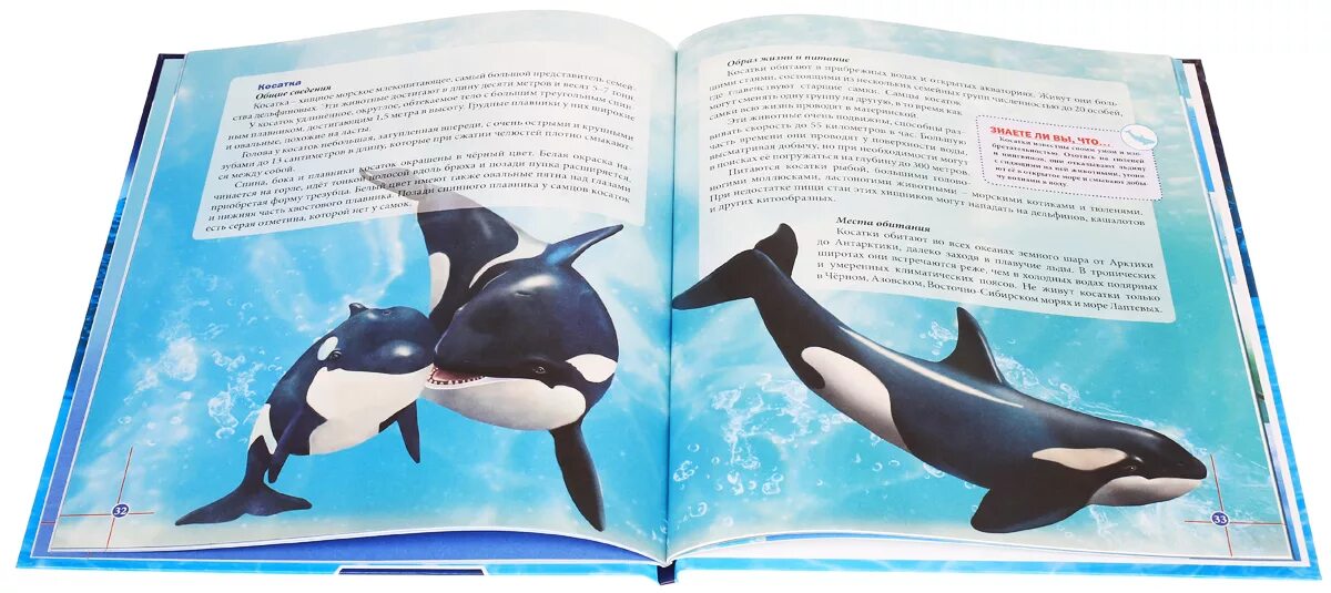 Книга про кита. Книга киты дельфины. Энциклопедия о дельфинах. Книги о китах и дельфинах для детей. Книга о касатках.
