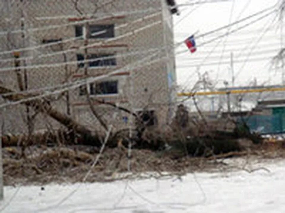 Дожди димитровград. Ледяной дождь димитровград. ледяной дождь в ульяновске 2010 год. ледяной дождь 2010 димитровград.