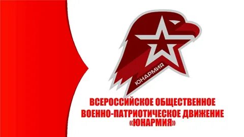 Аис юнармеец