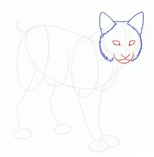 Рысь нарисовать детям легко