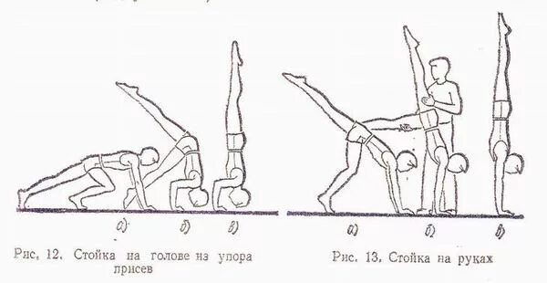 Укажите расстояние от упора головы. Акробатические упражнения в гимнастике. Стойка на руках схема. Упражнение стойка на руках. Стойка на голове схема.