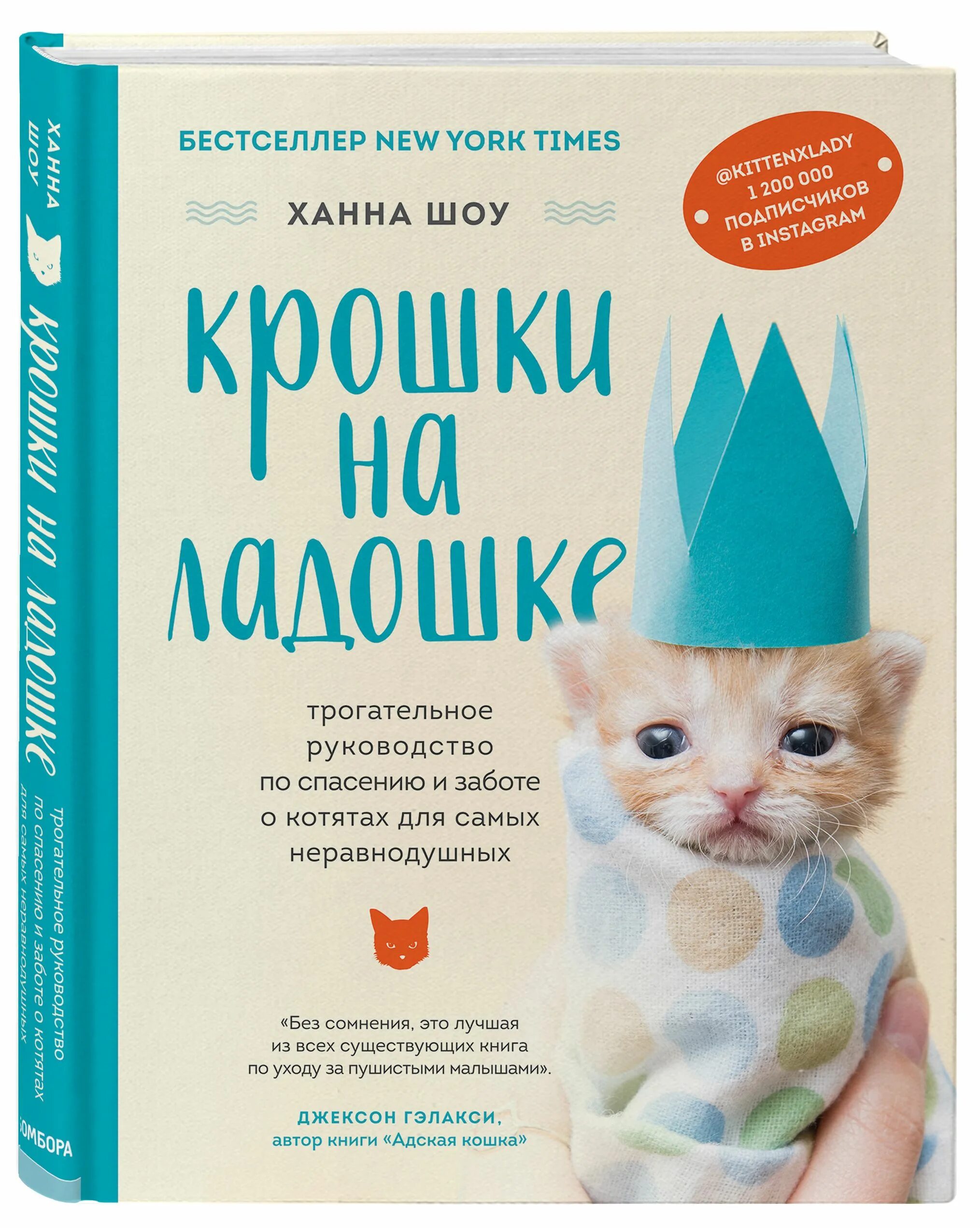 Крошка на ладошке. Всемирный день защиты бездомных животных. Информация о котиках. Всемирный день защиты бездомных животных картинки.