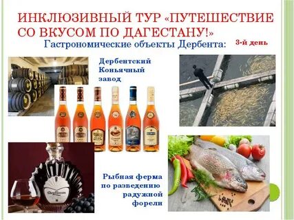 Гастротур проекта 7 класс