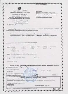 Код окогу что это такое