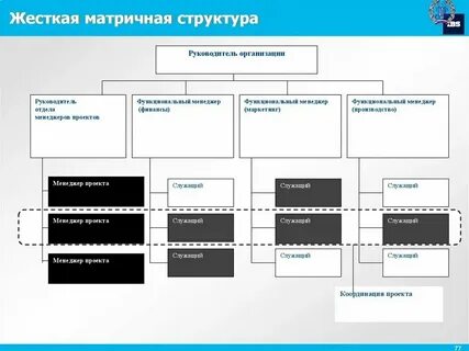 Проект управление на основе данных