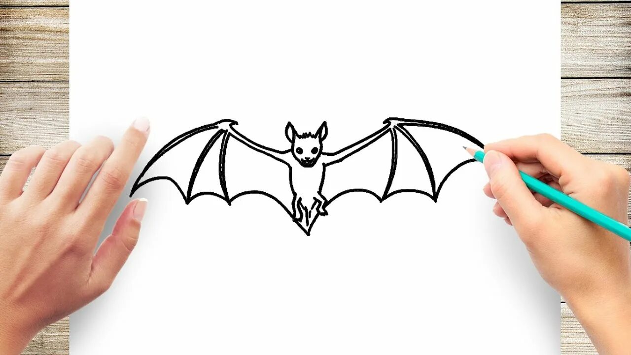 Step bat. Как нарисовать летучую мышь. Bat рисунок. Как нарисовать летучую мышь легко. Bat drawing small and easy.