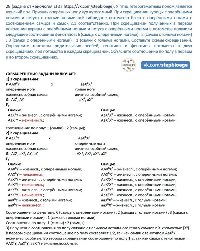 При скрещивание курицы с листовидным. 28 Задание ЕГЭ биология. У кур женский пол гетерогаметен. У кур гетерогаметным полом является женский. E lhjpjabk utnthjufvtnydv gjkjv zdkzncz ;tycrbq gjk GHB crhtobdfyb.