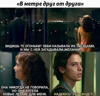 Сколько в метре друг