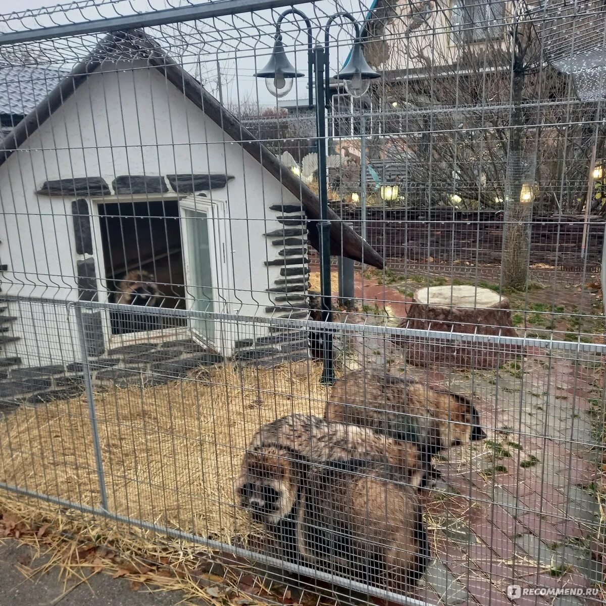 У лукоморья тюмень зоопарк