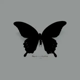 Papillons noirs