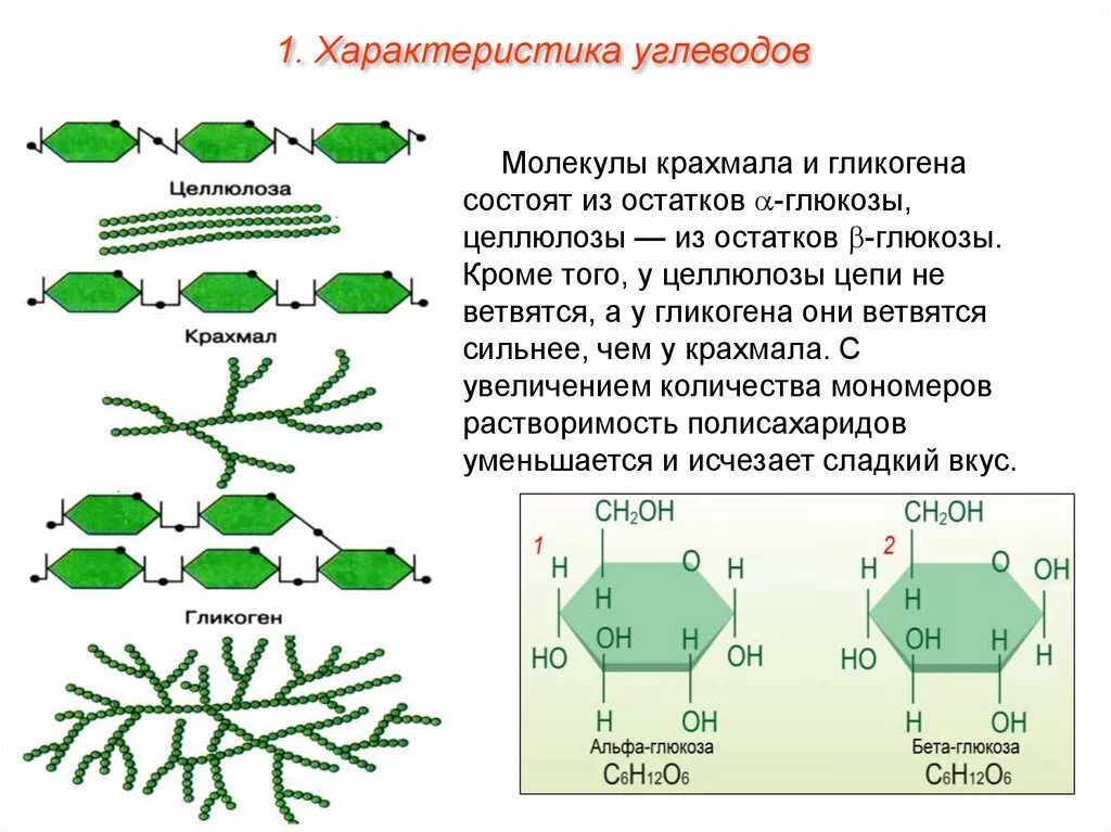 Форма молекул глюкозы. Схема образования крахмала. Пространственное строение целлюлозы. Крахмал гликоген Целлюлоза структурные формулы. Крахмал Целлюлоза гликоген хитин.