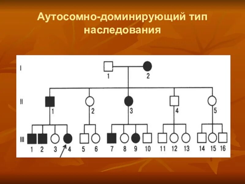 Рецессивно доминантный тип наследования. Аутосомно-доминантный Тип наследования схема. Родословная с аутосомно-доминантным типом наследования. Схема родословной на аутосомно-доминантный Тип наследования. Аутосомно-рецессивный Тип родословная.