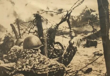Никопольско криворожская операция