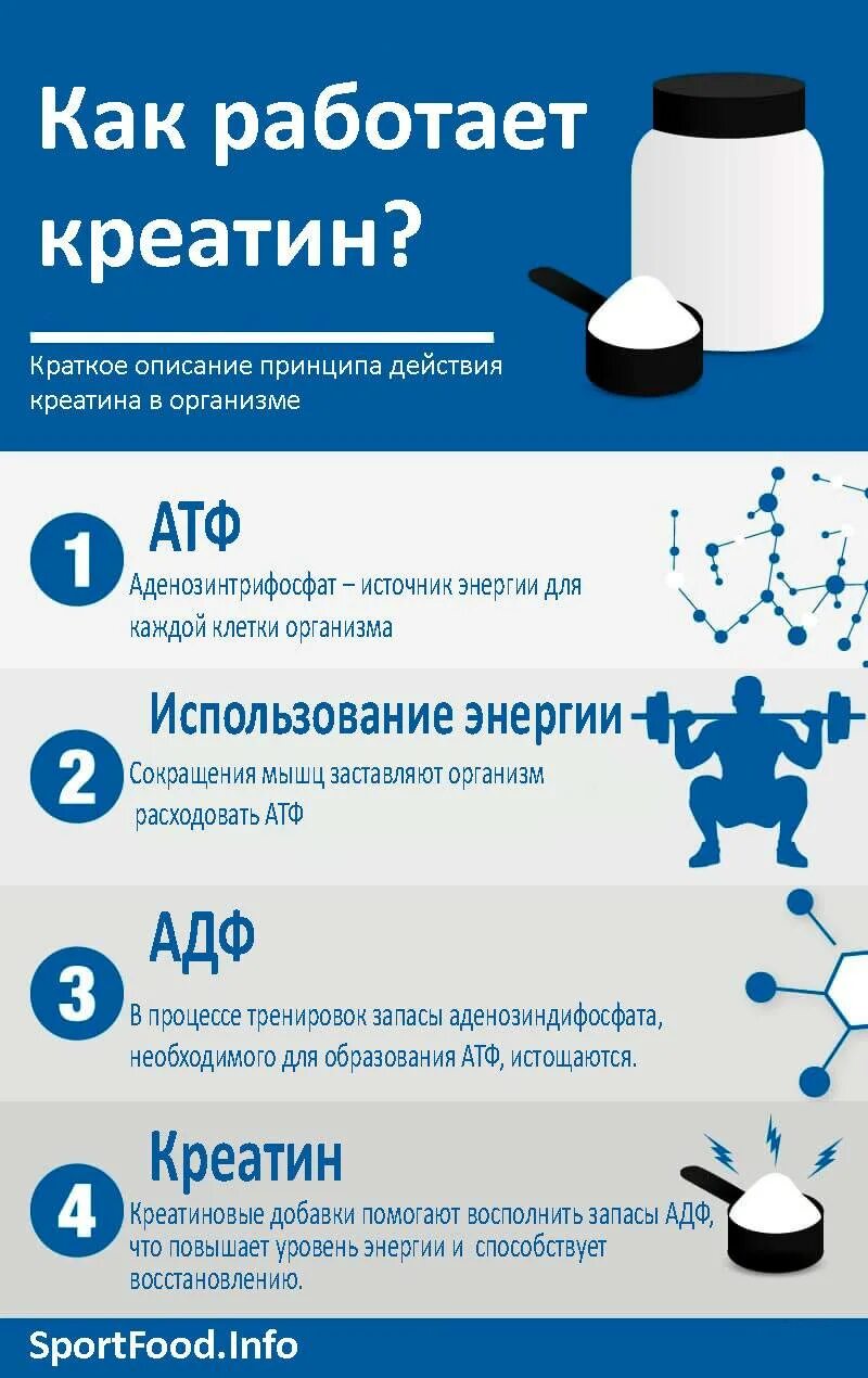 Как правильно пить сывороточный. Как пить креатин. схема приема креатина. как принимать креатин. прием протеина для набора мышечной массы.