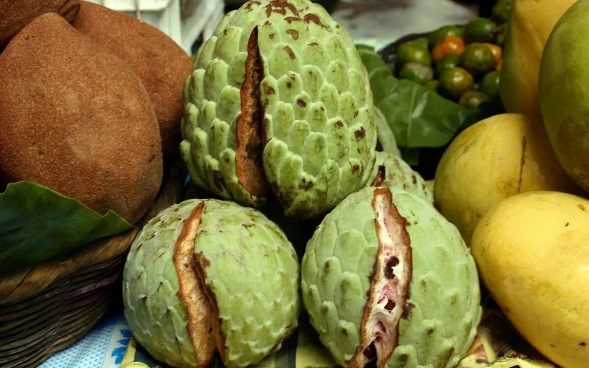 Большие фрукты названия. Рамбутан черимойя. Зеленый фрукт Тайланд. Карибиан фрукт. Фрукт Нубия.