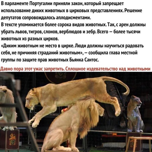 Издеваться форум
