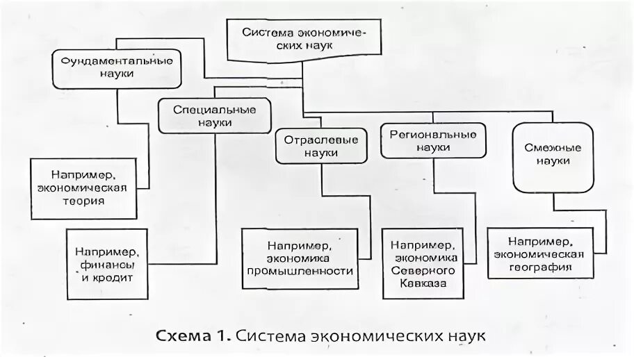 Общие экономические науки это