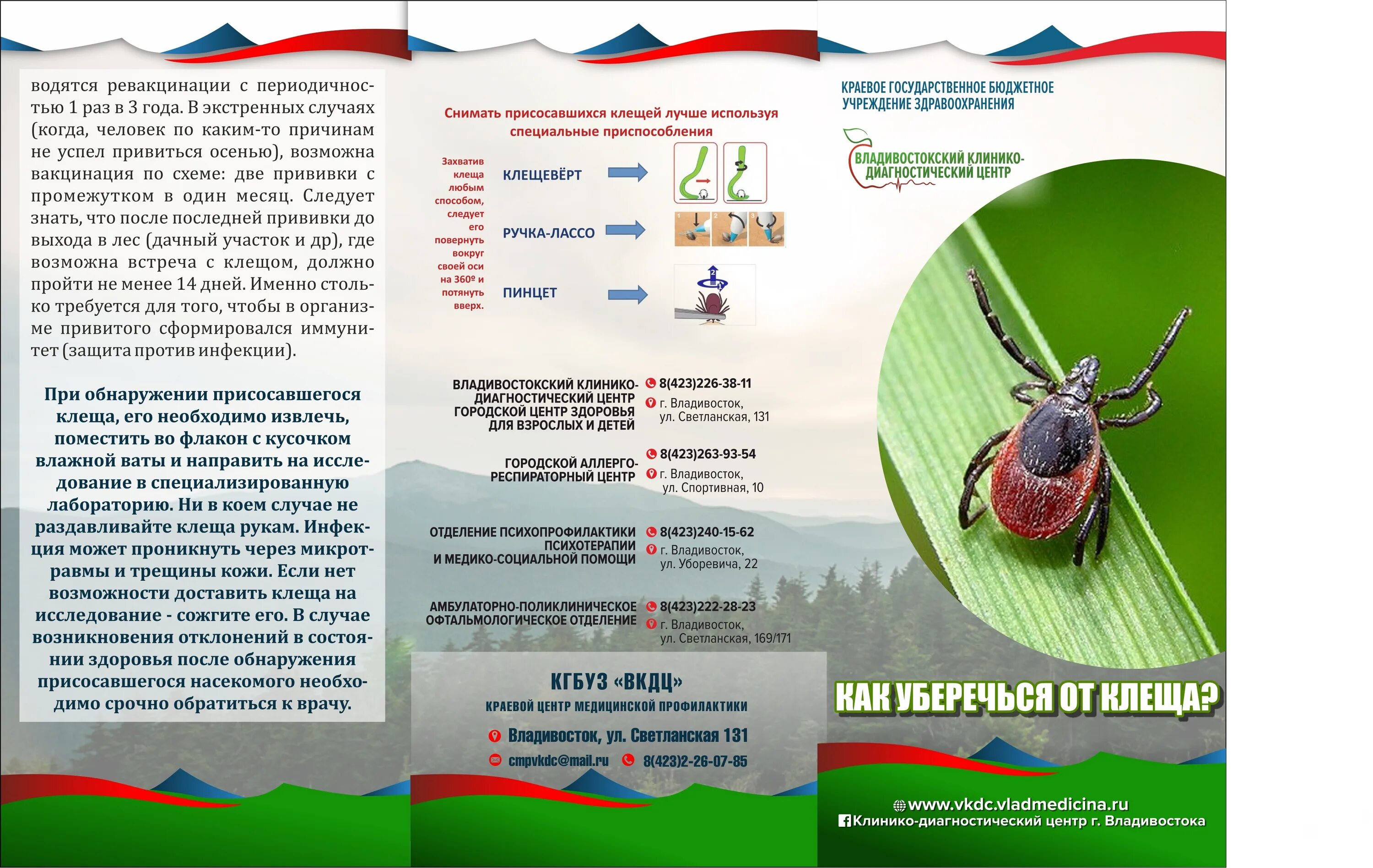 Клещевой энцефалит буклет. Клещевой энцефалит вакцинация памятка. Булкте клещевой энцефалит. Клещевойщевой энцефалит буклет. Экстренная профилактика клещевого энцефалита