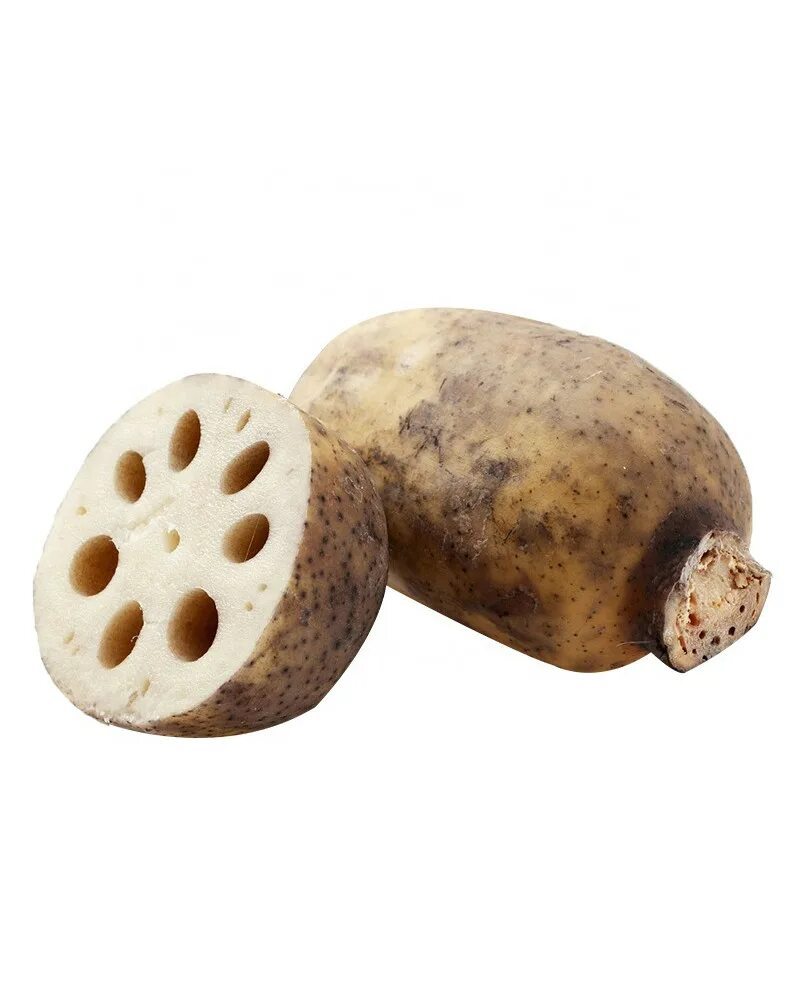 Лотос блюдо. Лотус рут. Овощ с дырками внутри. Блюда из лотоса. Рэнкон: корень лотоса.