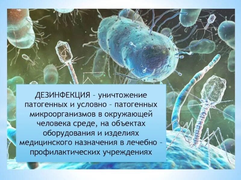 Разрушающие микроорганизмы. Патогенные микроорганизмы в окружающей среде. Патогенные бактерии в воде. Патогенные микробы в воде. Уничтожение в окружающей среде патогенных микроорганизмов.