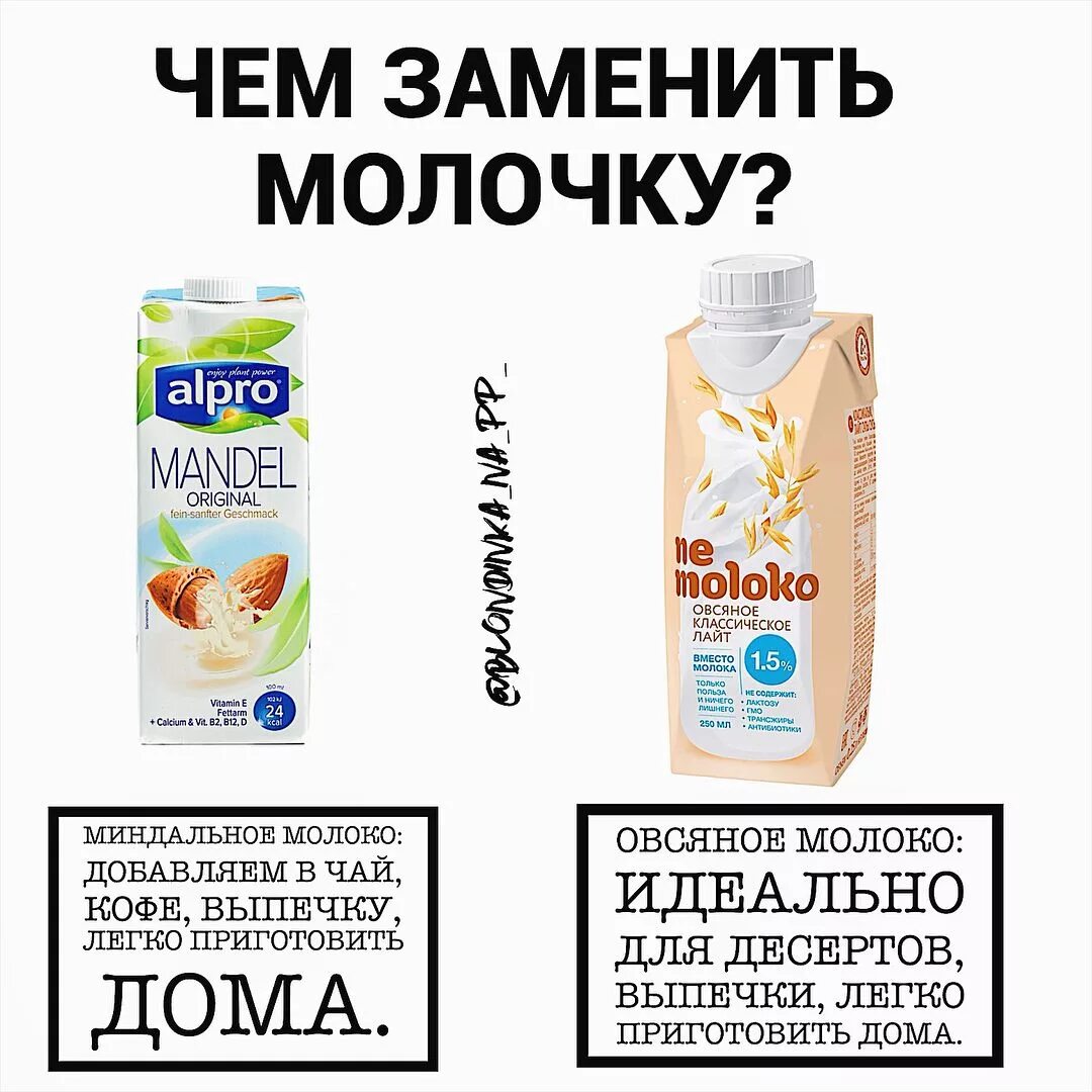 Чем заменить молочные продукты. Растительное молоко. Молоко худеть. Продукты заменяющие молоко. Можно ли пить молоко в пост