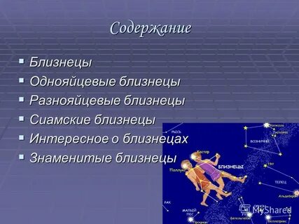Близнец содержание