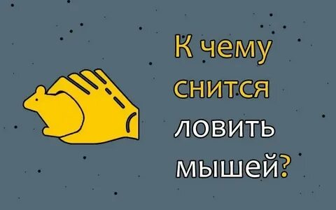 Мышку поймали сон