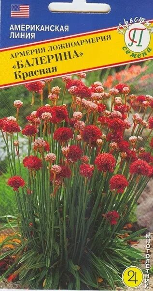 Армерия альпийская сияние цв/п 0,05 гр. многолетник