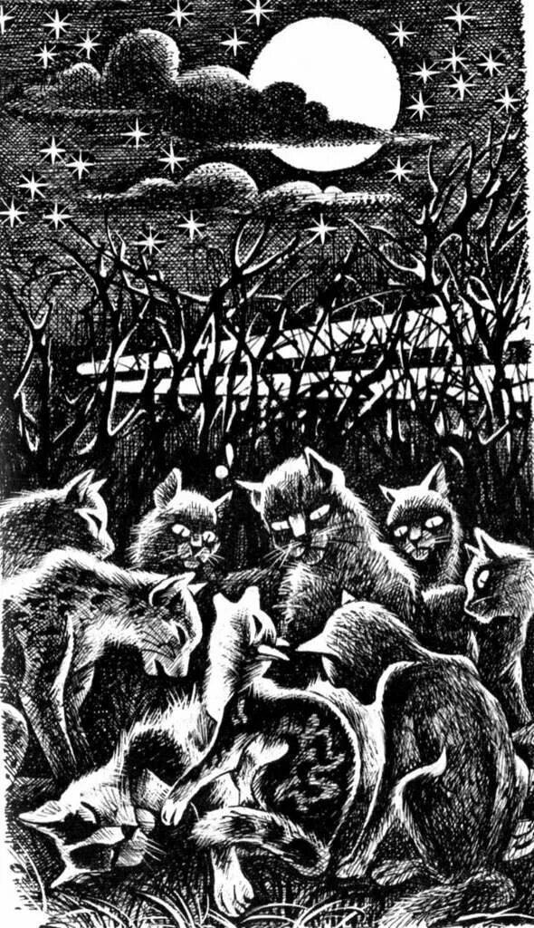 Коты воители мох. Коты воители солнечный путь. книга коты воители солнечный путь. коты воители иллюстрации из книг. хантер эрин &quot;солнечный путь&quot;.
