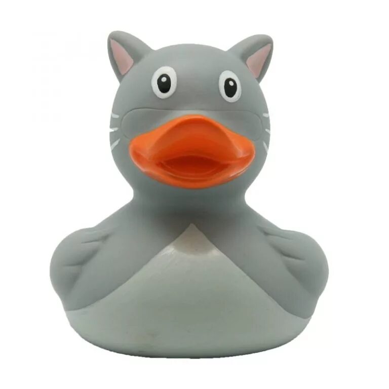 Cat duck. Игрушка для ванной funny Ducks валютная уточка. Кот и утка. Кот с уточкой. Резиновая утка кошка.